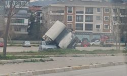 Denizli'de kuvvetli rüzgar; ağaçlar devrildi, çatılar uçtu