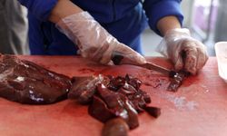 Ev kadınıydı bölgenin 'kebapçı ablası' oldu