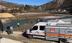 Hafif ticari araç, köprüden baraj gölüne düştü; sürücü kurtarıldı