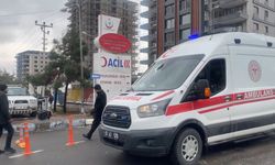 Jandarmanın müdahale ettiği kavgada ateş açıldı; 2 yaralı