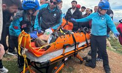 Kayalıktan düşen kadını sırtlarında taşıyıp, sağlık ekibine teslim ettiler