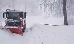 Kocaeli'nin yüksek kesimleri beyaza büründü