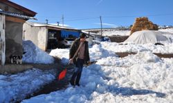 Köpeklerine saldıran kurtları kürekle kovaladı