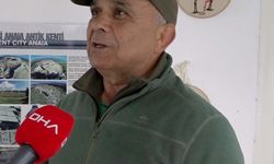 Kuşadası'nda bir ölü deniz kaplumbağası daha sahile vurdu; sayı 8'e çıktı