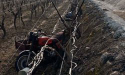 Manisa'da sepetli motosiklet üzüm bağına devrildi: 1 ölü