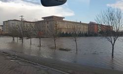 Nusaybin'de sağanak; İpekyolu suyla doldu