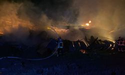 Osmaniye'de kağıt fabrikası yangını (2)