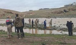 Şanlıurfa'da derede erkek cesedi bulundu