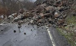 Şırnak'ta kaya düşmesi nedeniyle köy yolu ulaşıma kapandı