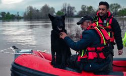 Su baskınında mahsur kalan iki köpek botla kurtarıldı; o anlar kamerada