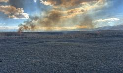 Sultan Sazlığı Milli Parkı'nda yangın