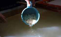 Tarihi konak atölyeye çevrildi; 2 bin yıllık yöntemle sanatsal kağıtlar üretiliyor / Ek fotoğraflar