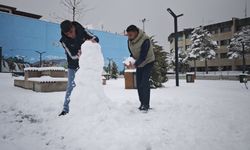 Van'da 143 yerleşim yerinin yolu kardan kapandı/Ek fotoğraflar