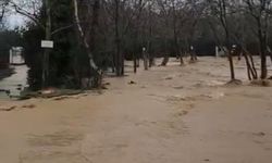 Yalova'da sağanak nedeniyle dereler taştı, 5 büyükbaş öldü