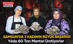 Samsun'da 3 Kadının Büyük Başarısı! Yılda 60 Ton Mantar Üretiyorlar