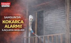 Samsun’da Kokarca Alarmı! İlaçlama Başladı