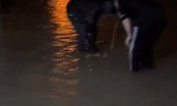 Adana'da sağanak hayatı olumsuz etkiledi; minibüste mahsur çocuklar kurtarıldı