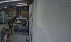 Ahırdan kaçan büyükbaşlar oto tamirciye girdi