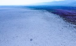 Akşehir Gölü, 8 yıl kuraklık sonrası canlanıyor/Ek fotoğraflar