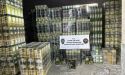 Aydın'da doluma hazır 6 bin litre tağşiş zeytinyağı ele geçirildi