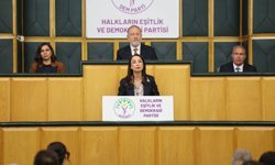 DEM Parti'li Hatimoğulları: Barış gemisini limana ulaştıracağız