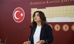 DEM Parti'li Koçyiğit: Sürecin geciktirilmesini doğru bulmuyoruz