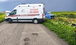 Diyarbakır'da kaybolan 3 yaşındaki Yazgül için arama çalışması başlatıldı