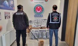 Edirne ve İstanbul'da 420 kilo esrar ele geçirildi