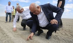 Erkoyuncu, pancar ekimine katıldı