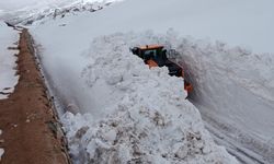 Erzincan'da 4 metreyi aşan karla mücadele