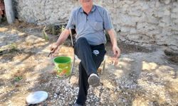 Eskişehir'de Günyüzü Kaymakamı Kurt kaza geçirdi; 1 ölü, 2 yaralı