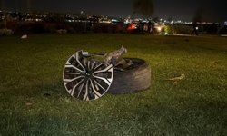 Fatih'te takla atan otomobil parka savruldu: 1 yaralı