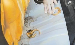 Iğdır'da sahte altın operasyonu