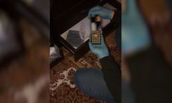 İstanbul- Maltepe'de uyuşturucu madde ticareti yapan şüpheli yakalandı