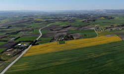 İstanbul'da sarıya bürünen kanola tarlaları havadan görüntülendi