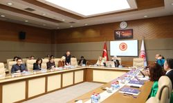 Kamu Denetçisi Benli: Cinayete maruz kalan kadınların yüzde 88'inin koruma kararı yok