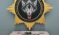 Malatya'da uyuşturucu operasyonuna 2 gözaltı