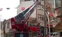 Oğul veren bal arıları nedeniyle yaya ve araç trafiği durdu