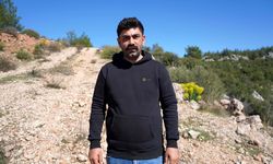 Yavru köpeklerin kulaklarını kesip satan üreticiye 327 bin TL para cezası