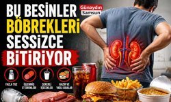 Bu 6 Besin Böbrekleri Sessizce Bitiriyor