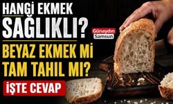Beyaz Ekmek Mi Tam Tahıl Mı? İşte Cevap