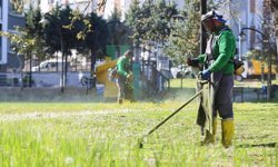 Canik'te Parklar Yaza Hazırlanıyor