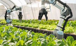 YÖK’ten Yeni Hamle: Tarımsal Teknoloji Bölümleri Açılıyor