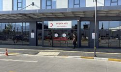 Aydın'da bayramın ikinci günü kurban kesimi sırasında 277 kişi yaralandı