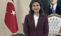 Enez Kaymakamı trafik kazasında yaralandı (2)