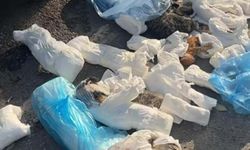 İzmir'de 33 kedinin ölü bulunduğu olayda şüpheli veterinere yeniden gözaltı