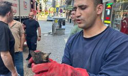 Kaputa saklanan yavru kedi, itfaiyeyi ekibini peşinden koşturdu