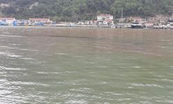 Kastamonu'da dereye kimyasal atık karıştı