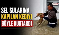 Sel Sularına Kapılan Kediyi Böyle Kurtardı