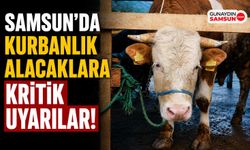 Samsun'da Kurbanlık Alacaklara Kritik Uyarılar